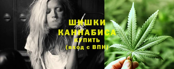 бошки Туринск