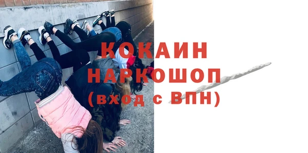 бошки Туринск