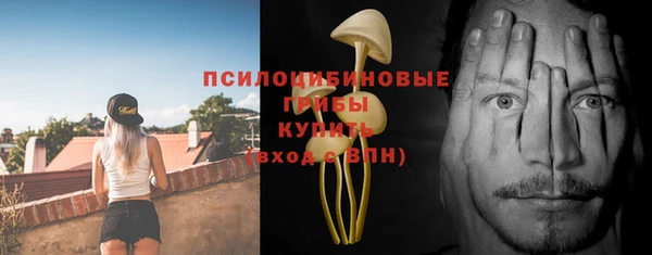бошки Туринск
