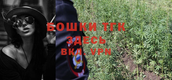 бошки Туринск